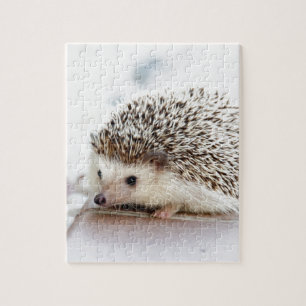 Cute Hedgehog Jigsaw Puzzle