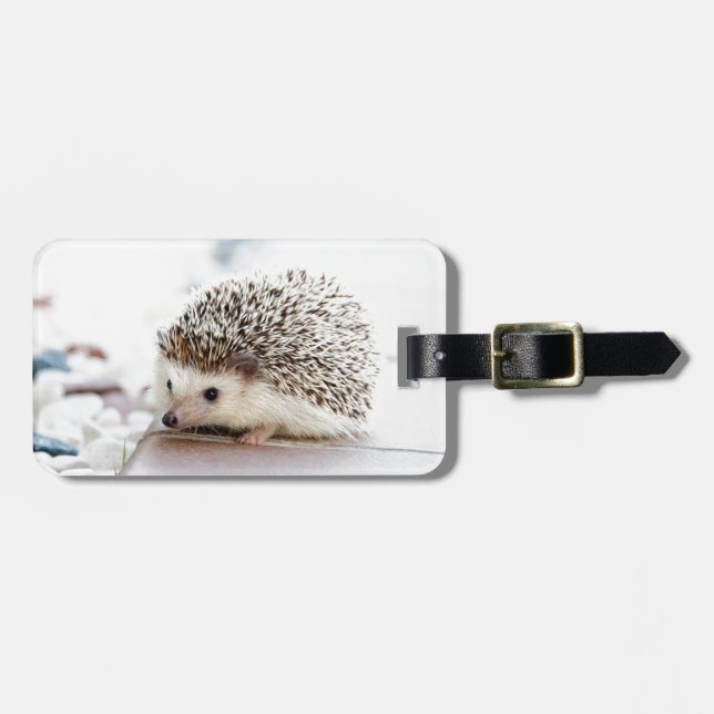 Cute Hedgehog Luggage Tag (Front Horizontal)