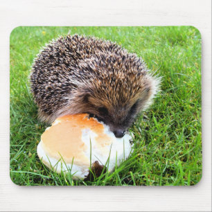 CUTE HEDGEHOG MOUSE PAD