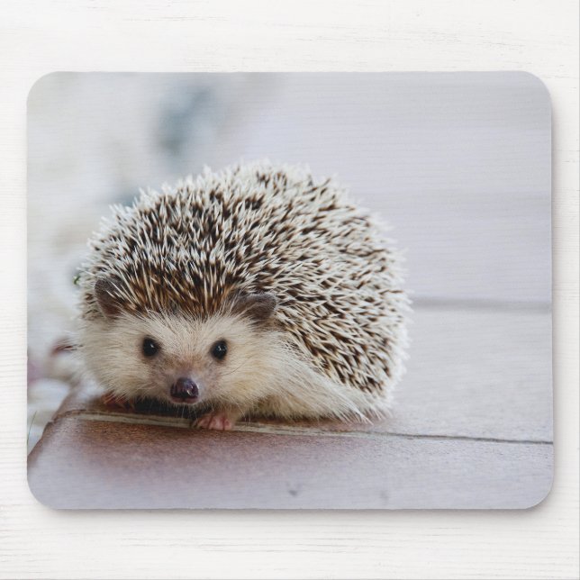 Cute Hedgehog, Mouse Pad (Front)