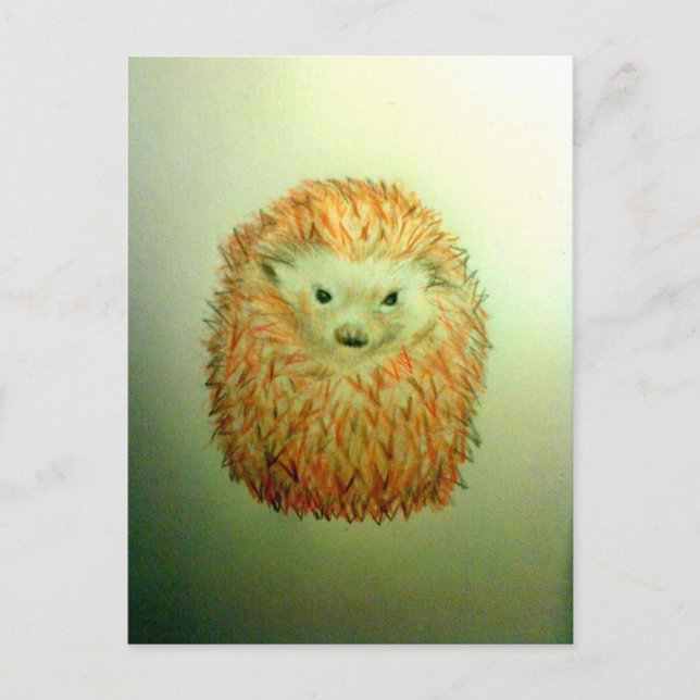 Cute Hedgehog Postcard (Front)
