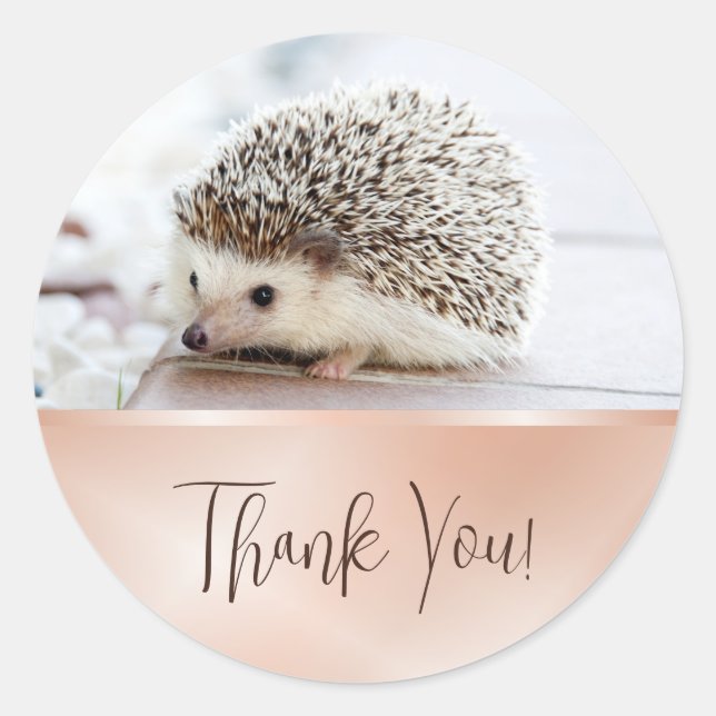Cute Hedgehog Rose Gold Thank You Classic Round Sticker (Front)