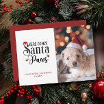 Cute Here Comes Santa Paws Dog Christmas Photo Holiday Card<br><div class="desc">Simple Here Comes Santa Paws Christmas Dog Photo Holiday Card. Send out this cute,  personalised photo card of the dog or cat this year to friends and family for the holiday season. Simply add your name and own photo to make it your own.</div>