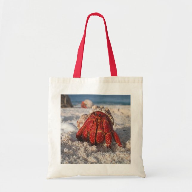 Cute Hermit Crab on White Sandy Beach Closeup Tote Bag (Front)
