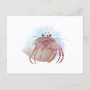 Cute hermit crab sketch postcard