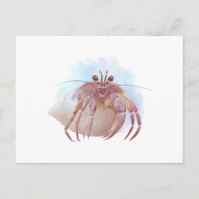 Cute hermit crab sketch postcard (Front)