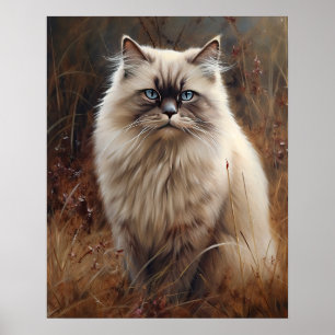 Cute Himalayan Cat Art Print Poster