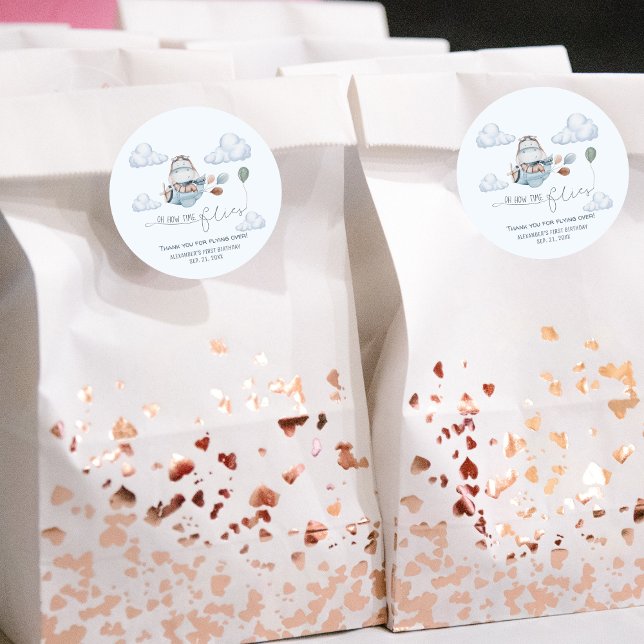 Cute Hippo Flies Aeroplane & Clouds, First Birthda Classic Round Sticker (Creator Uploaded)