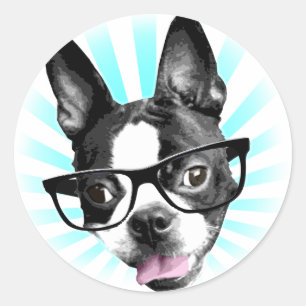 Cute! Hipster Boston Terrier Classic Round Sticker
