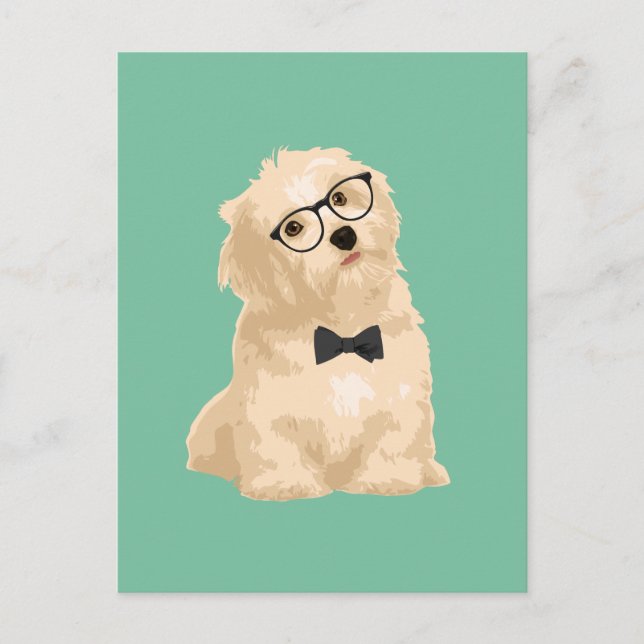 Cute Hipster Reddish Havanese Puppy for Dog Lovers Postcard (Front)