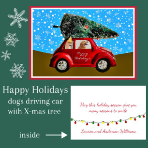 Cute Holiday Dogs in Car with Retro Christmas Tree Card