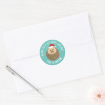 Cute Holiday Hedgehog
