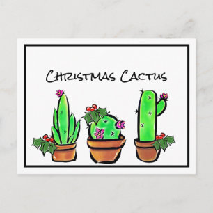 Cute holiday Xmas Cactus cacti succulents  Postcard