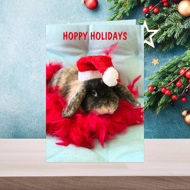 Cute Holland Lop Bunny Christmas Card (Creator Uploaded)