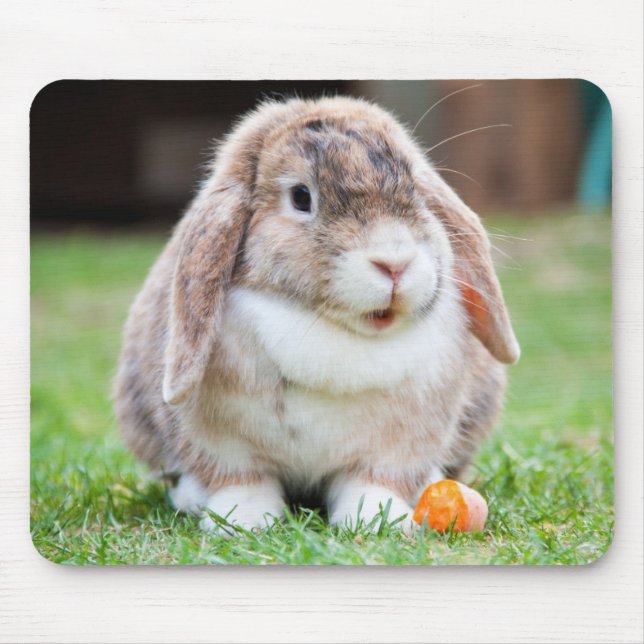 Cute Holland Mini Lop Bunny Rabbit Mouse Pad (Front)