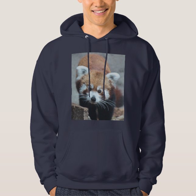 Cute Hoodie (Front)