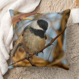 Cute Hopeful Black-Capped Chickadee Songbird Cushion