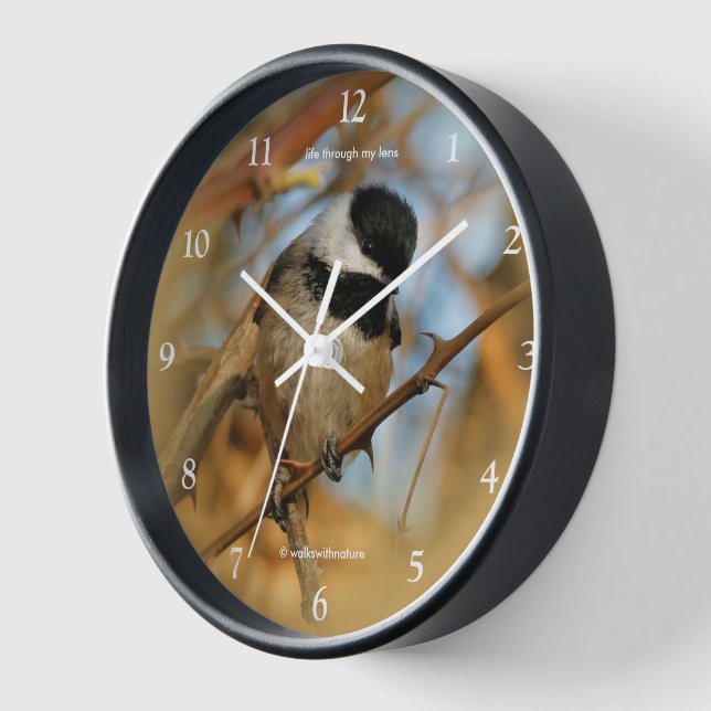 Cute Hopeful Black-Capped Chickadee Songbird Wall Clock (Angle)