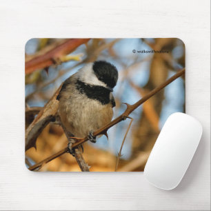 Cute Hopeful Hungry Black-Capped Chickadee Mouse Pad