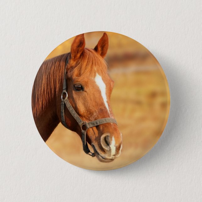 CUTE HORSE 6 CM ROUND BADGE (Front)
