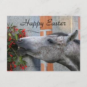 Cute Horse and Flowers Funny Farm Happy Easter Postcard