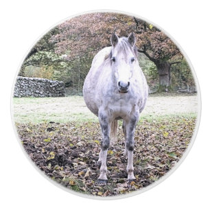 CUTE HORSE CERAMIC KNOB