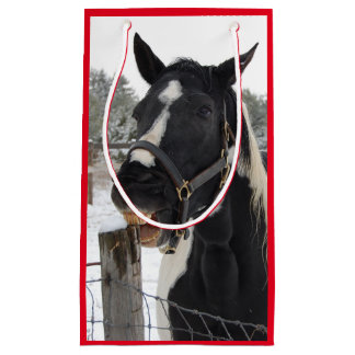 Cute Horse Chewing on a Fence Post Small Gift Bag