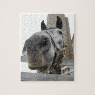 Cute Horse Close Up Jigsaw Puzzle