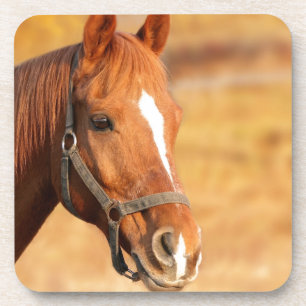 CUTE HORSE COASTER