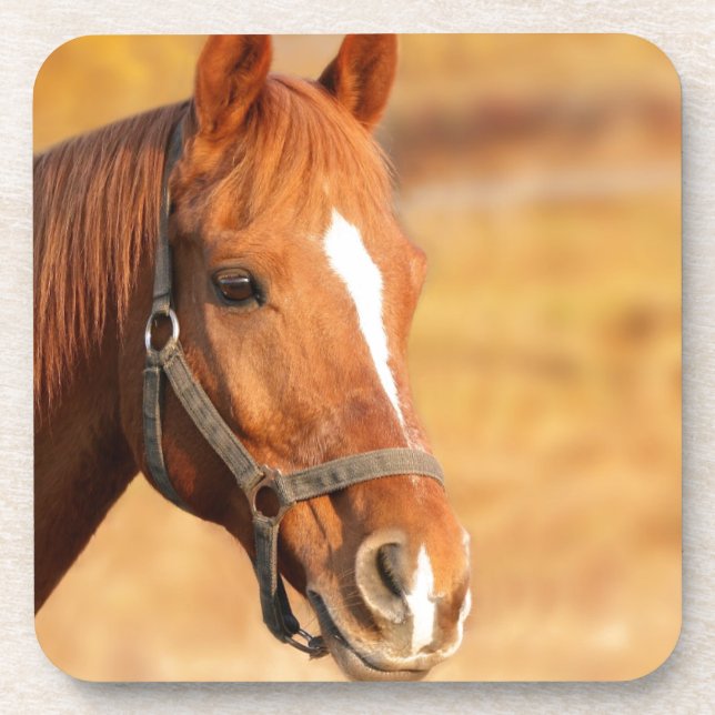 CUTE HORSE COASTER (Front)
