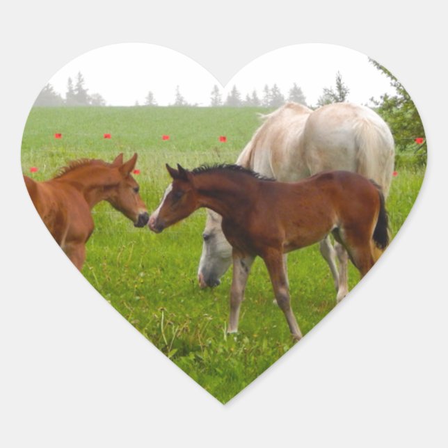 CUTE HORSE FOALS HEART STICKER (Front)