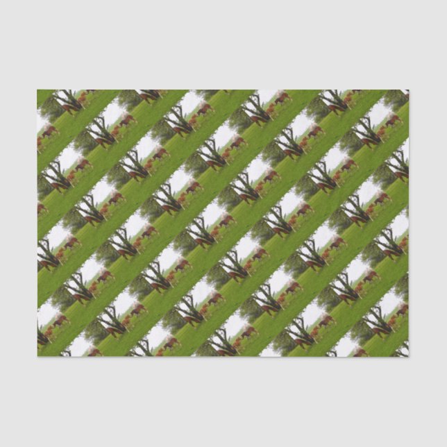 CUTE HORSE FOALS TISSUE PAPER (Front)