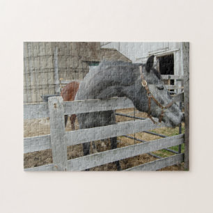 Cute Horse in front of a Barn Jigsaw Puzzle