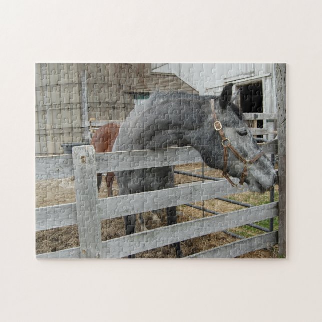Cute Horse in front of a Barn Jigsaw Puzzle (Horizontal)