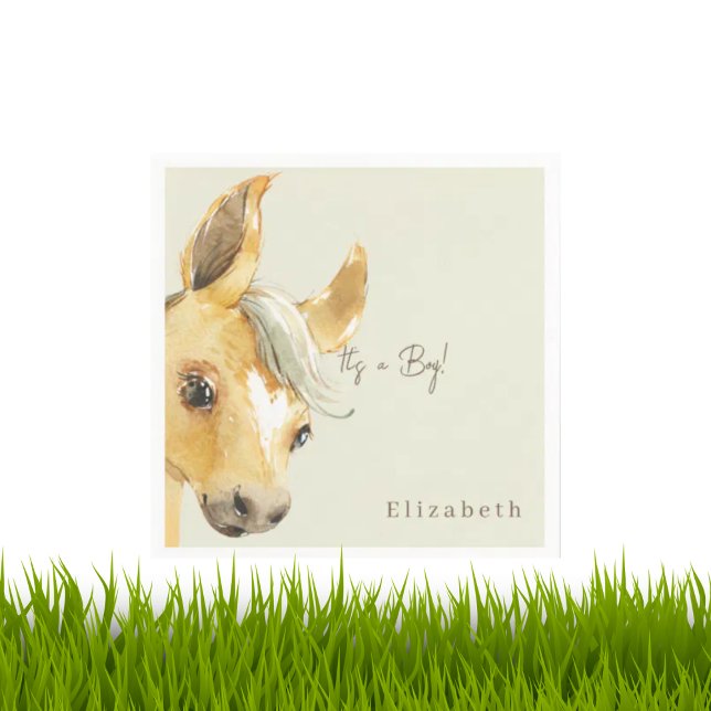 Cute Horse It's a Boy Baby Shower Cocktail Napkin (Creator Uploaded)
