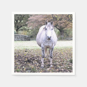 CUTE HORSE NAPKIN