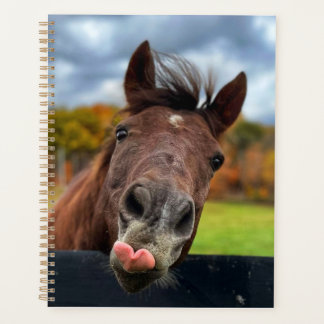 Cute horse planner