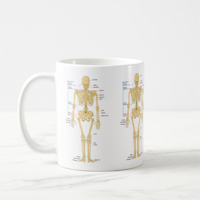 Cute Human Skeleton with Labels Coffee Mug (Left)