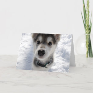 Cute husky puppy photo customisable greeting card