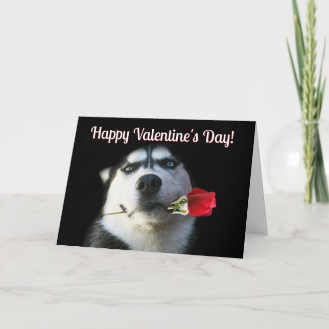 Cute Husky Rose Valentine's Day Card (Front)