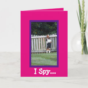 Cute "I Spy" Birthday Card with Basset Hound