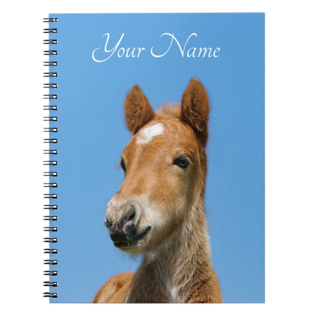 Cute Icelandic Horse Foal Pony Head Front - Name - Notebook (Front)