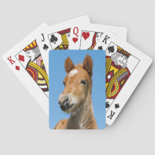 Cute Icelandic Horse Foal Pony Head Front Photo -- Playing Cards