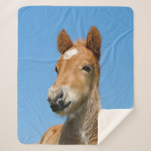 Cute Icelandic Horse Foal Pony Head Front Photo .. Sherpa Blanket
