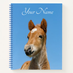 Cute Icelandic Horse Foal Pony Head Photo - Name - Notebook
