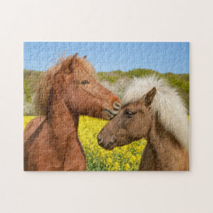Cute Icelandic Horses Cuddle in a Spring Meadow Jigsaw Puzzle