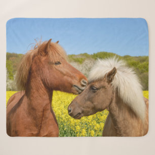 Cute Icelandic Horses Cuddle in a Spring Meadow -- Sherpa Blanket