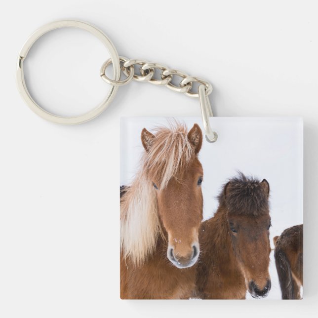 Cute Icelandic Horses Together Key Ring (Front)