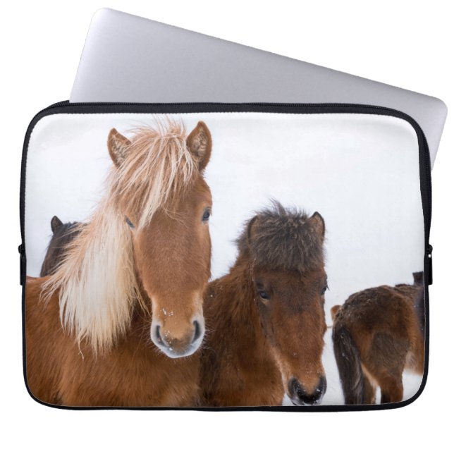 Cute Icelandic Horses Together Laptop Sleeve (Front)