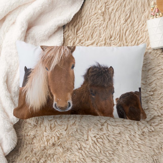 Cute Icelandic Horses Together Lumbar Cushion (Blanket)